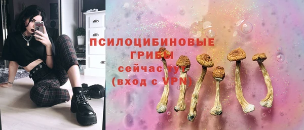 бошки Аркадак